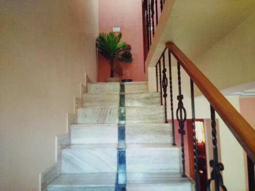Hostal Menezes House