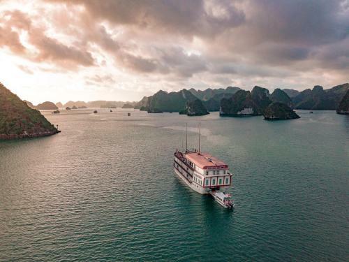 Ginger Cruise
