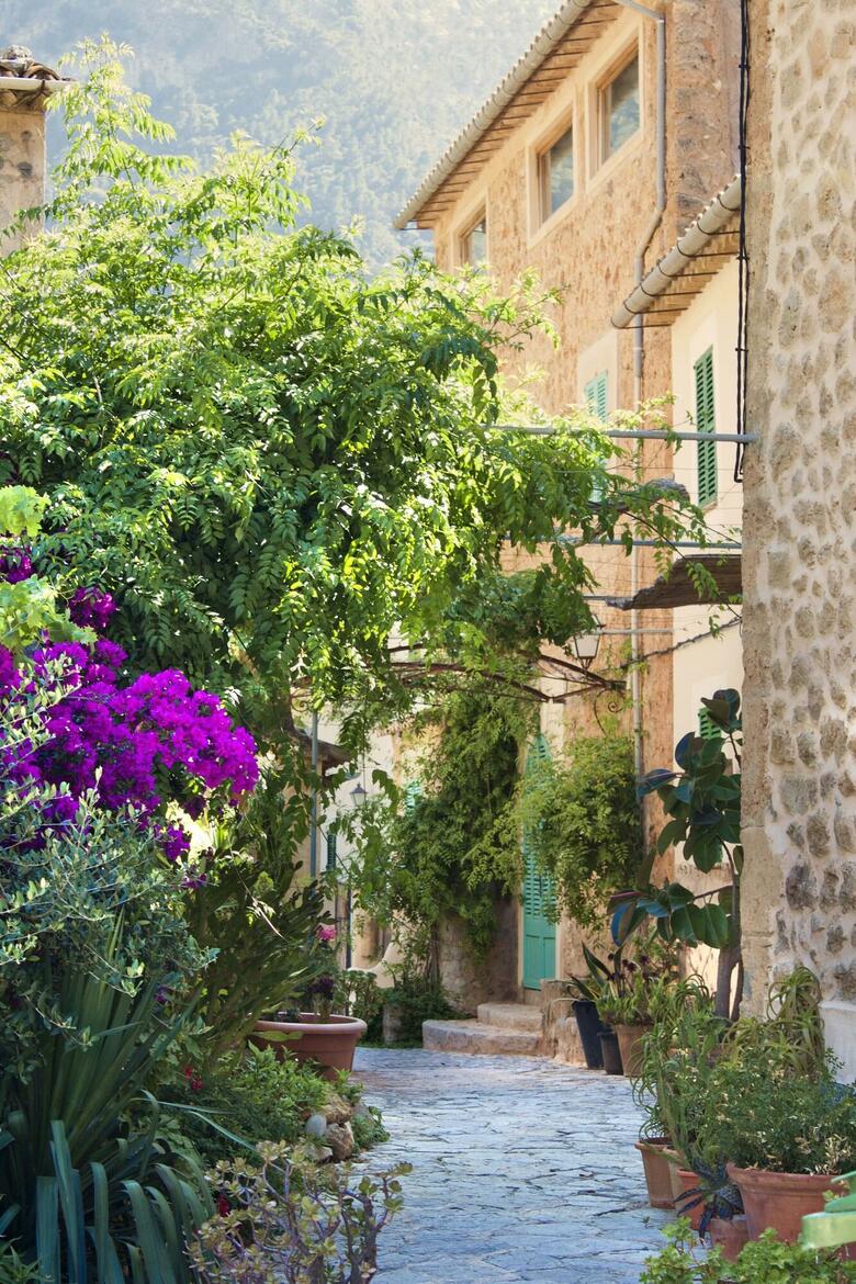 Hotel Es Moli
