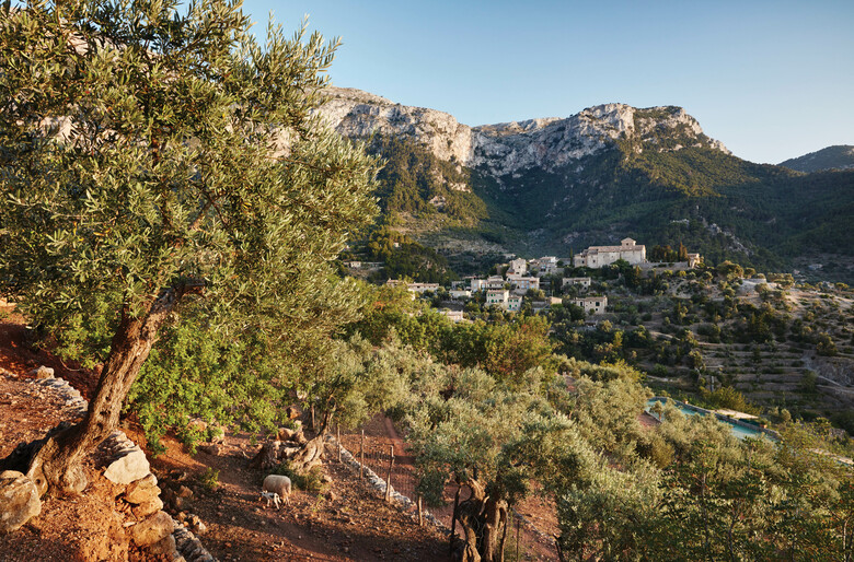 Hotel La Residencia