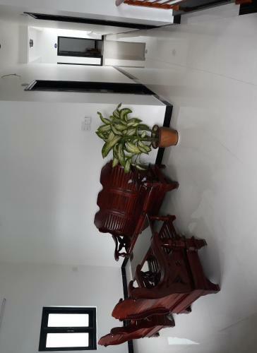 Thao Hieu Homestay Hoi An