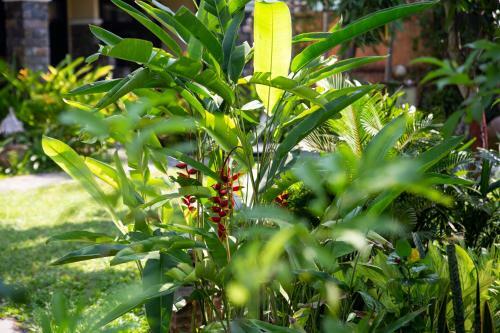 Hotel Hoi An Trails Resort & Spa