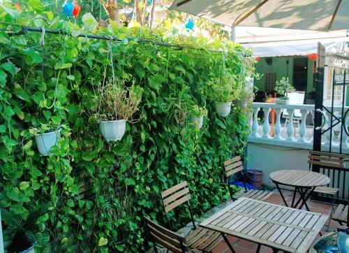 Hostal The Sun Homestay