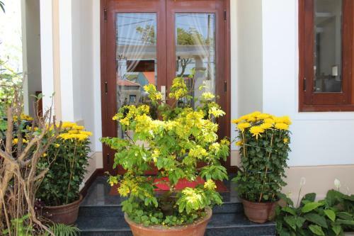 Hoian Joy Homestay