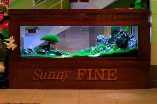 Hostal Sunny Fine Guesthouse