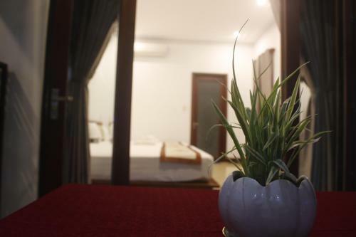 Hoi An Trust Villa