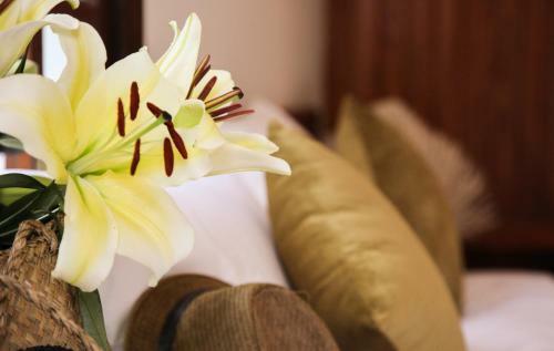 Hotel Charming Homestay