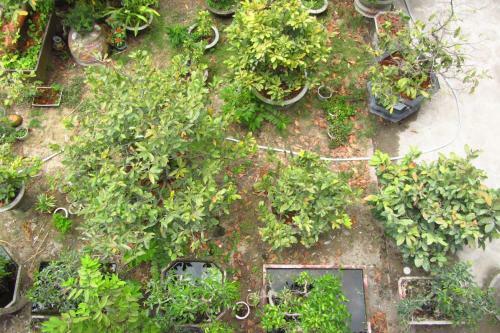 Hotel Charming Homestay