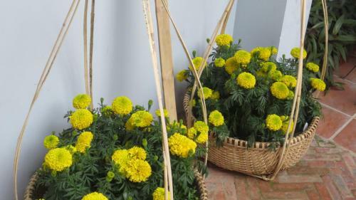 Hotel Charming Homestay