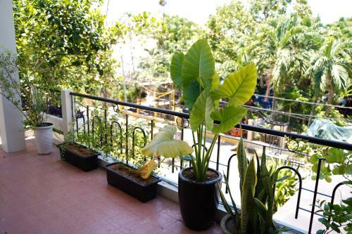 Hotel Longan Homestay