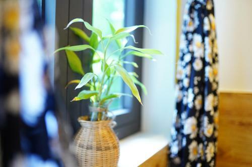 Hotel Longan Homestay
