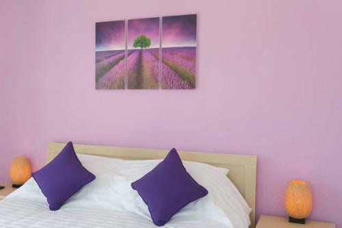 Bed & Breakfast Rice Field Homestay