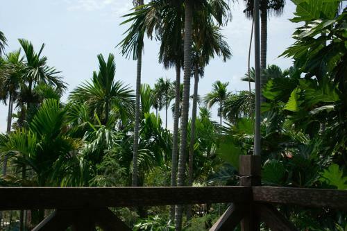 Lila Homestay