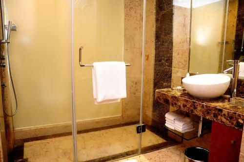 Hotel Radisson Blu Plaza Delhi