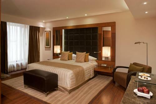Hotel Radisson Blu Plaza Delhi