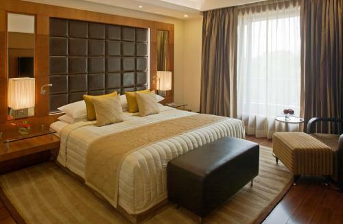 Hotel Radisson Blu Plaza Delhi