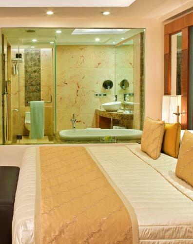 Hotel Radisson Blu Plaza Delhi