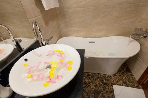 Apus Hotel