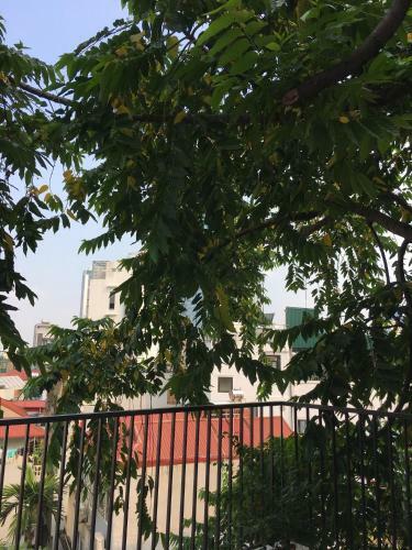 Palmo Serviced Apartment