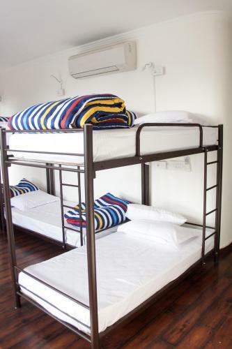 The Madpackers Hostel