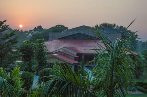 Hotel The Roar Resort