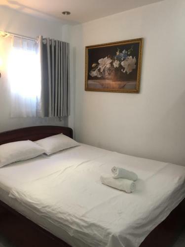 Hostal Vy Khanh Guesthouse