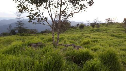 Chithrasala Homestay