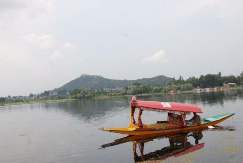 Peace Of Mind Group Of Houseboats
