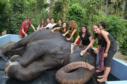Bed & Breakfast Green Leaf Home Stay