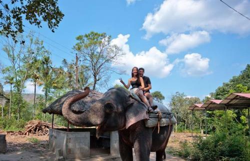 Bed & Breakfast Green Leaf Home Stay