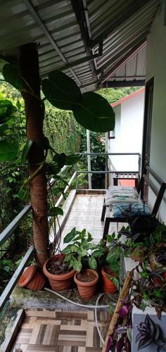 Periyar Inn