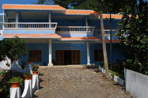 Neema Homes