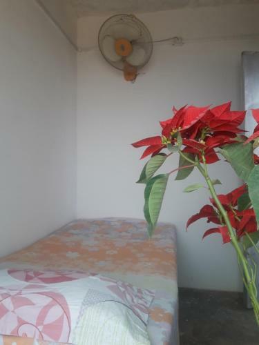 Hostal Ganga Paying Guest House