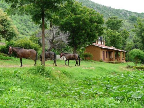 Agroturismo Krishna Ranch