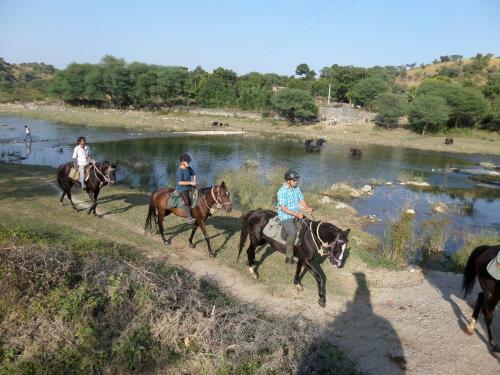 Agroturismo Krishna Ranch