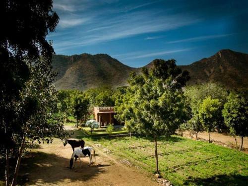 Agroturismo Krishna Ranch