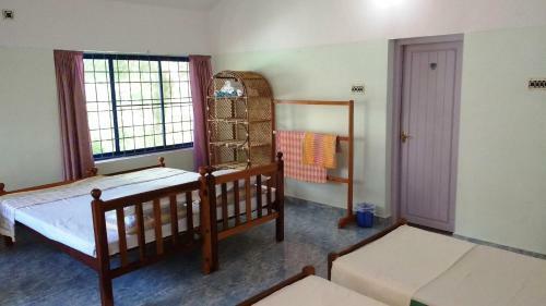 Gumnut Beach House Homestay