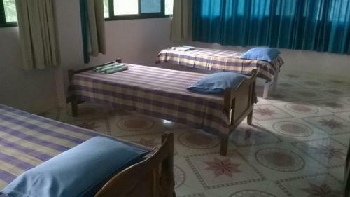 Gumnut Beach House Homestay