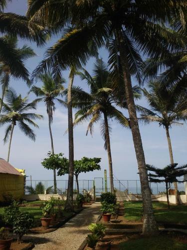 Hotel Bamboo Village