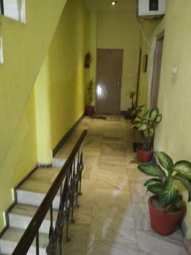 Hostal Leela Guest House