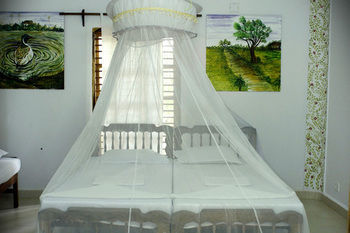 Hostal Jickys Nest