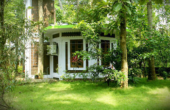 Hostal Jickys Nest