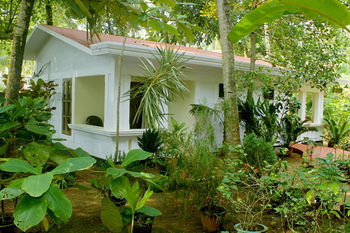 Hostal Jickys Nest