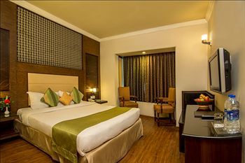 Hotel Vikram Vintage Inn
