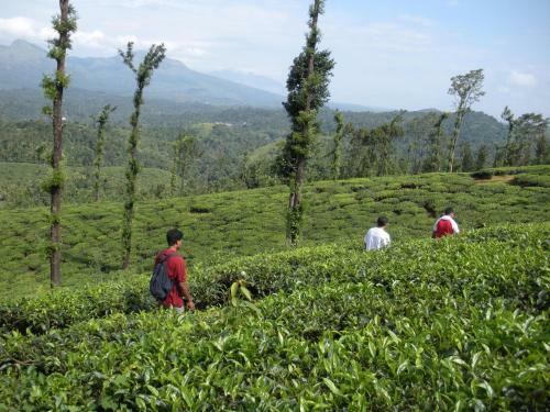 Annapara Home Stay