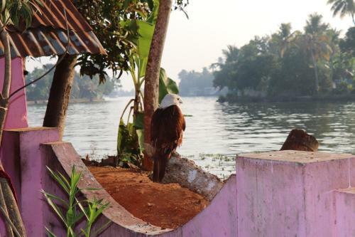 Marari Houseboat