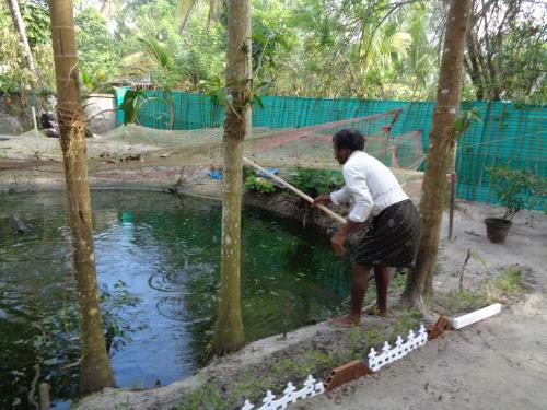 Bed & Breakfast Angels' Homestay Marari