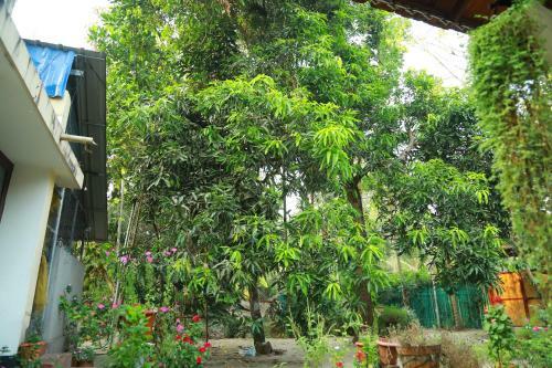 Bed & Breakfast Angels' Homestay Marari