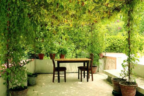 Marari Beach Pearl Homestay