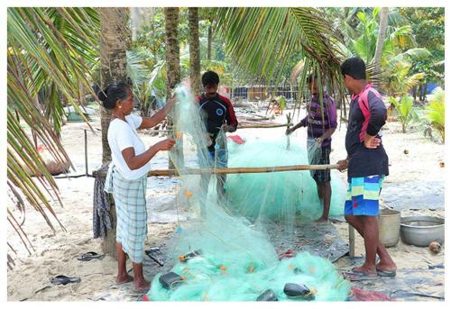 Marari Beach Paradise